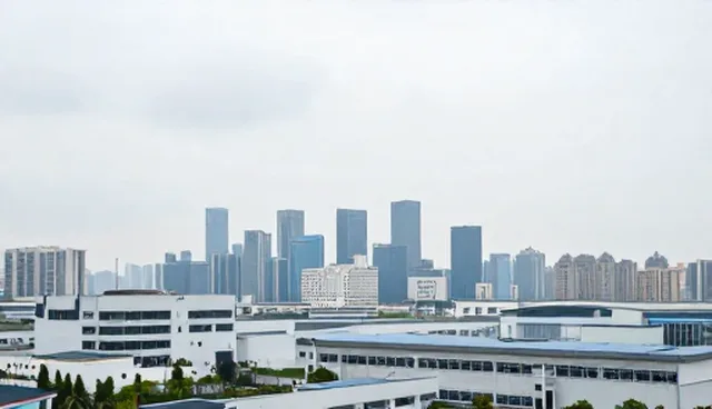 企业名录数据库的数据验证关键点解析